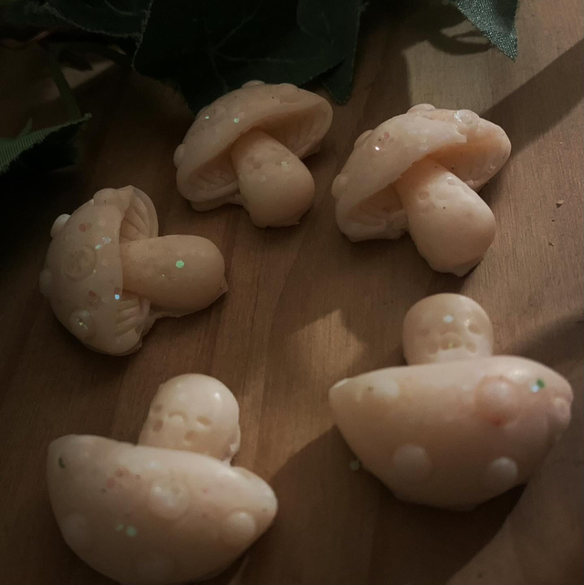 Mini toadstool soy wax melts pack of 5 (available in all fragrances)