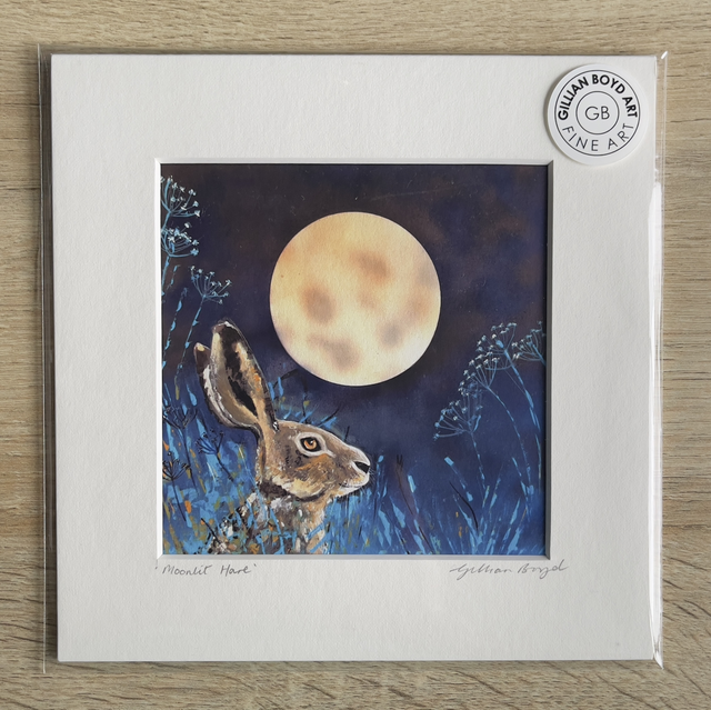 Moonlit Hare