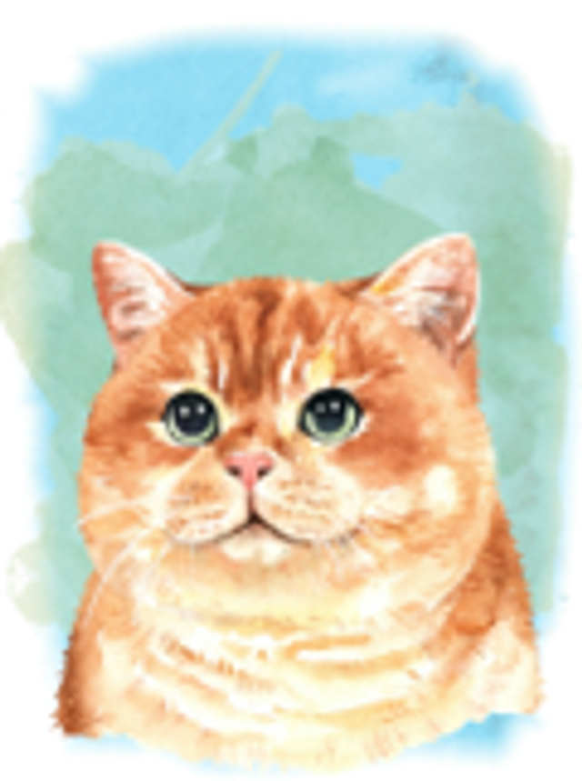 Hand made Cards - Cats