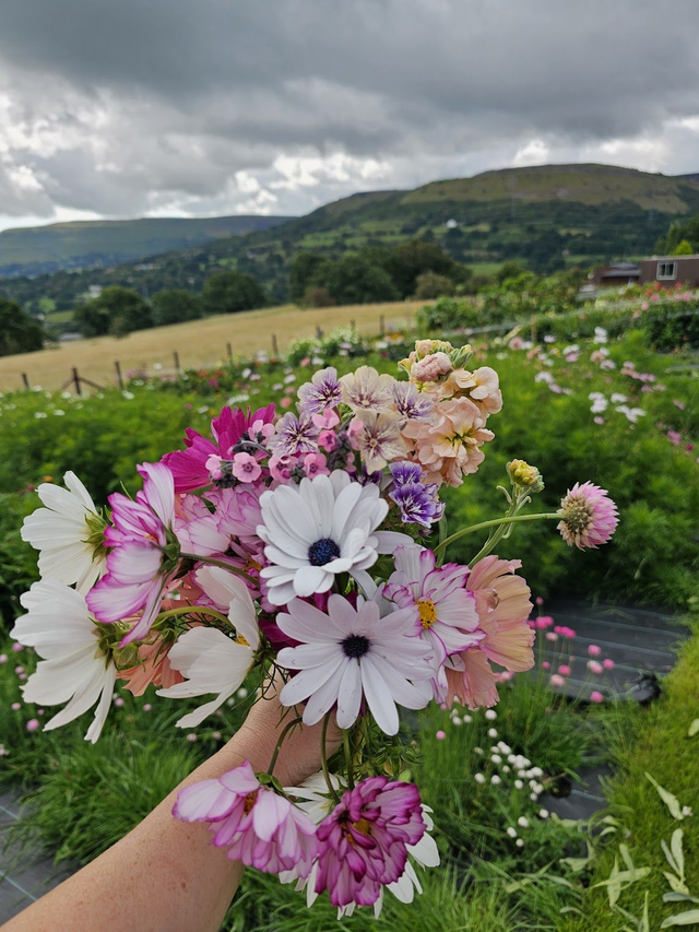 Eco-Friendly Table Arrangement ~ Monday 12th May - 10.30am - 12.30pm