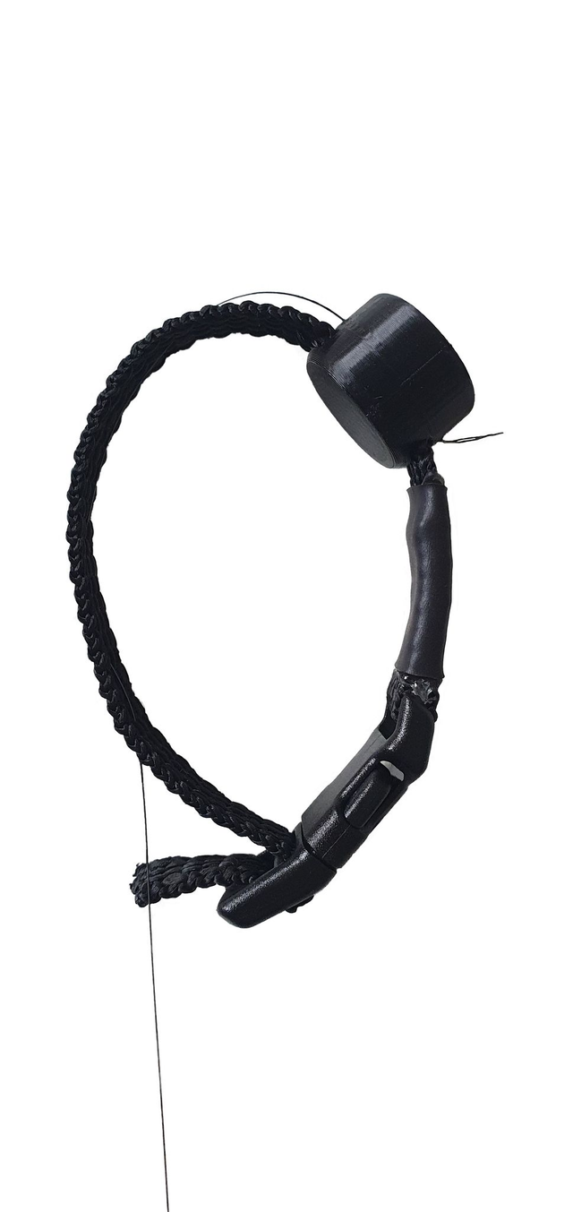 Small Birds Transmitter