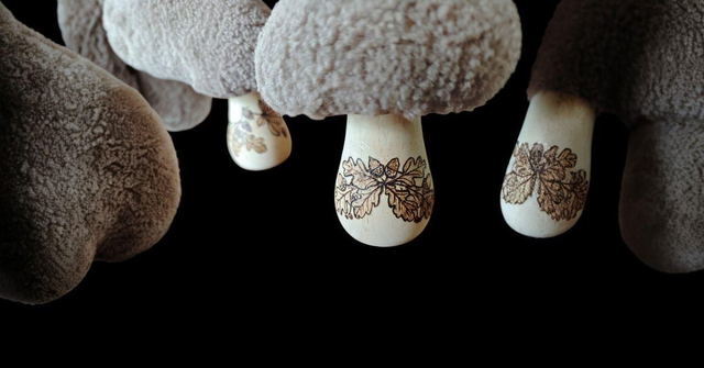 Champignon d'automne 🍄🟫