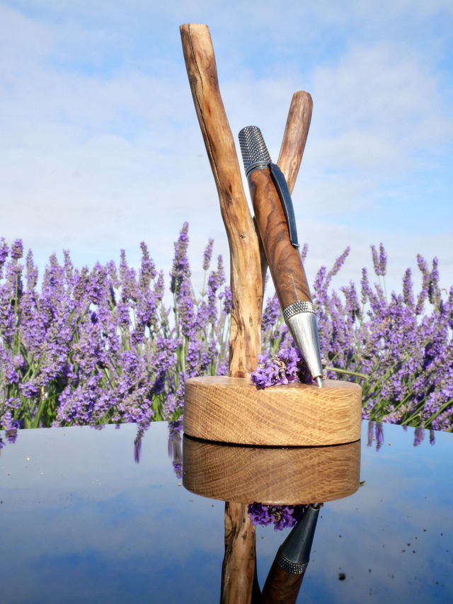 Sirius bille Noyer Turc