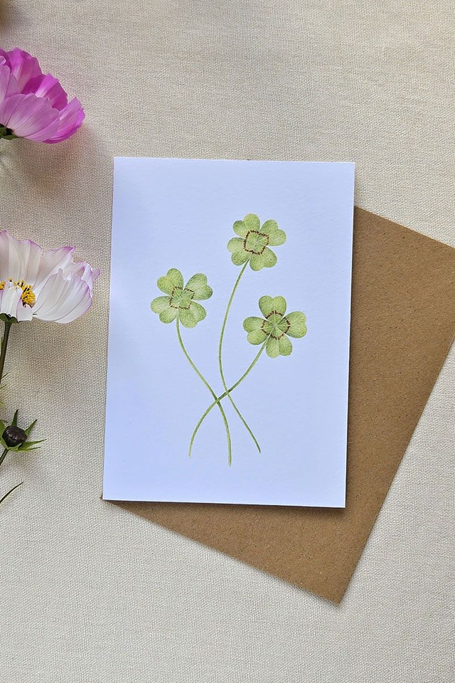 Carte au crayon de couleur - Trèfles a quatre feuilles