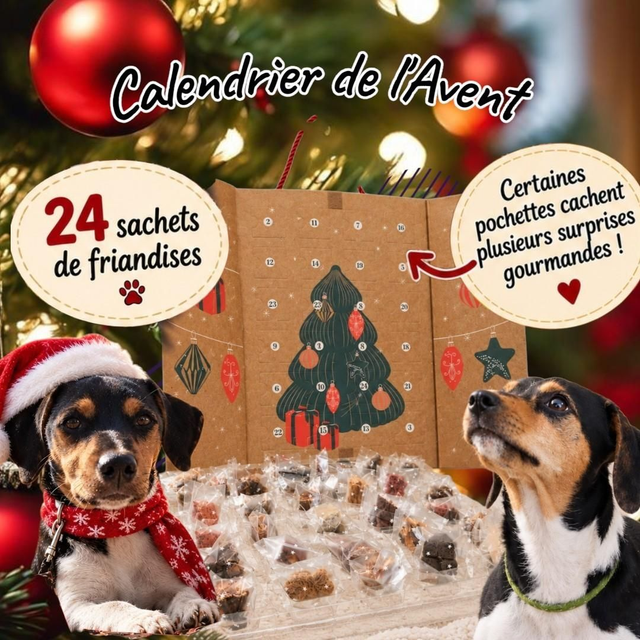 Calendrier de l'avent 