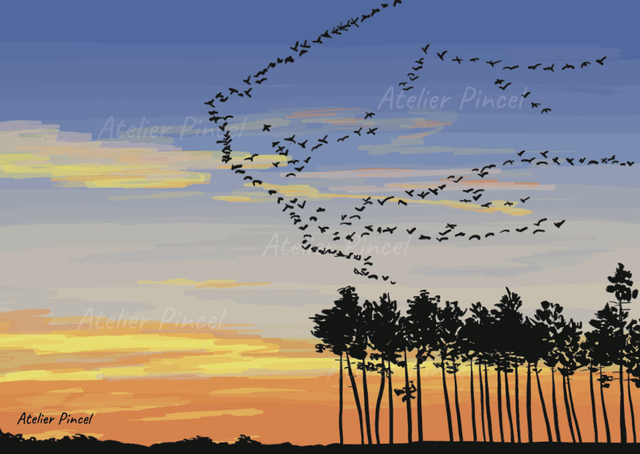 Carte Postale - Migration Grues Landes