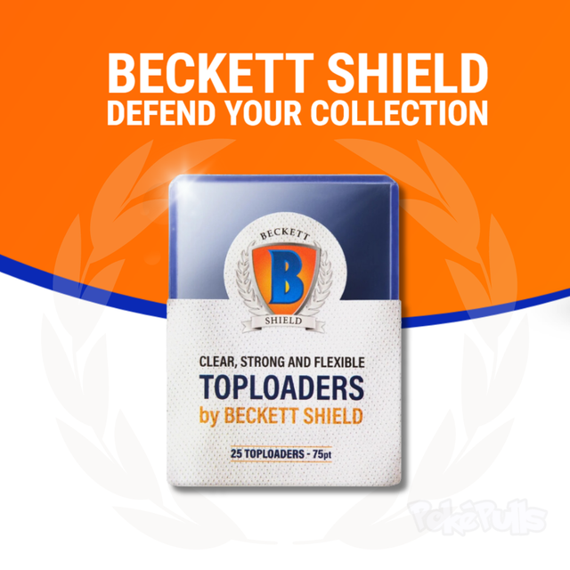 Beckett Shield Toploader 75pt (25 kpl)