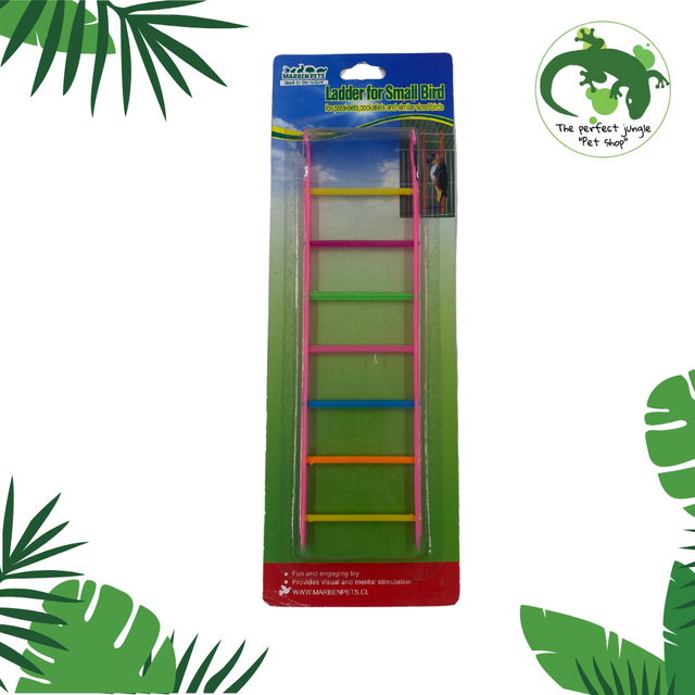 Escalera para Ave pequeña 