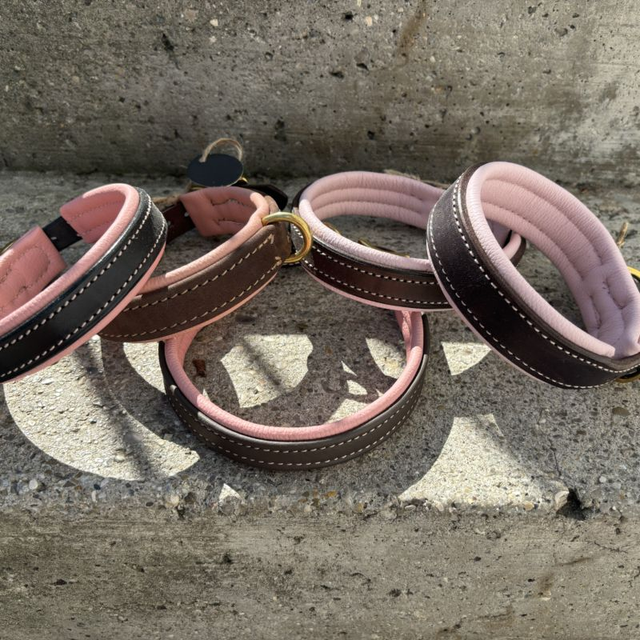 Hundehalsband mit farbigem Polsterleder