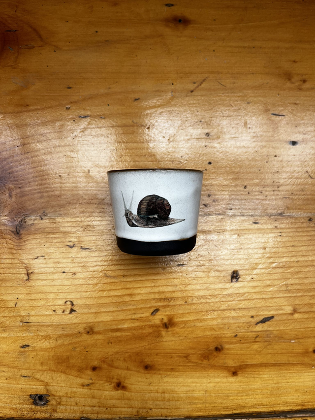 Espressobecher Schnecke (MSM)