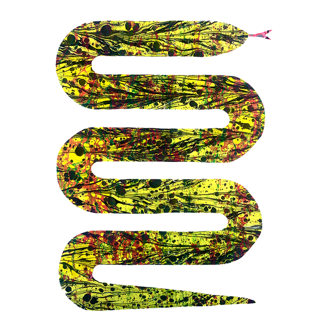 A3 Snake Print