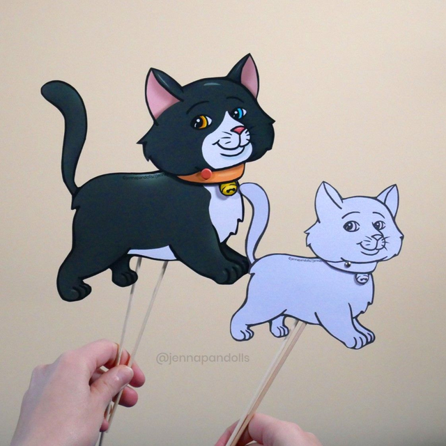 Kitten (Our favourite pets)