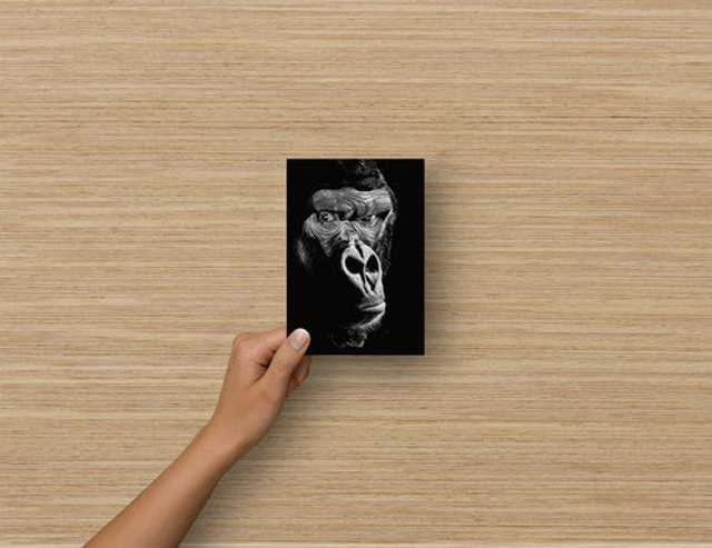 Carte Postale - Gorille (reproduction Aquarelle)