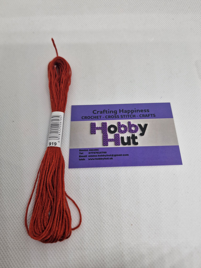 Embroidery Thread - 919