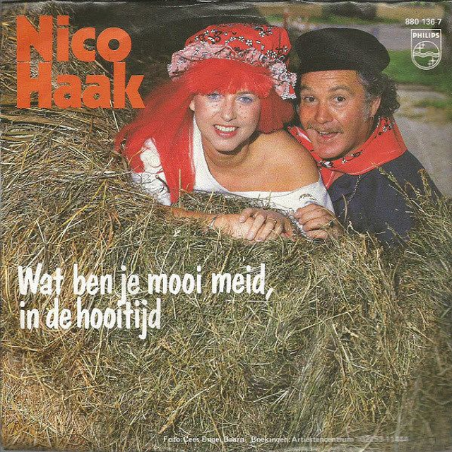 Nico Haak - Wat Ben Je Mooi Meid, In De Hooitijd