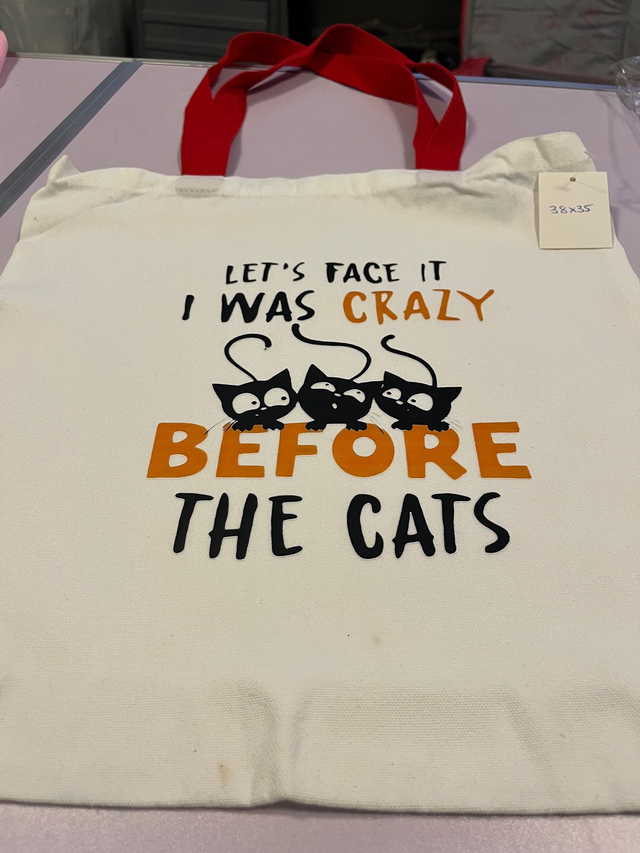 Lets Face It, I Was Crazy Before The Cats