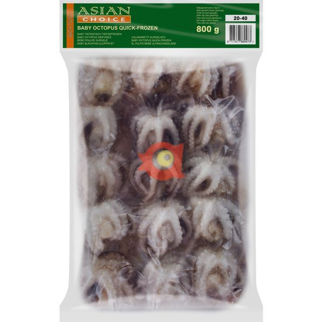 Asian Choice Baby Octopus 20/40