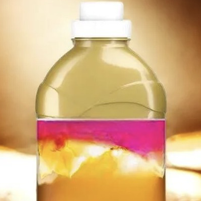 Golden Orchid (lenor)