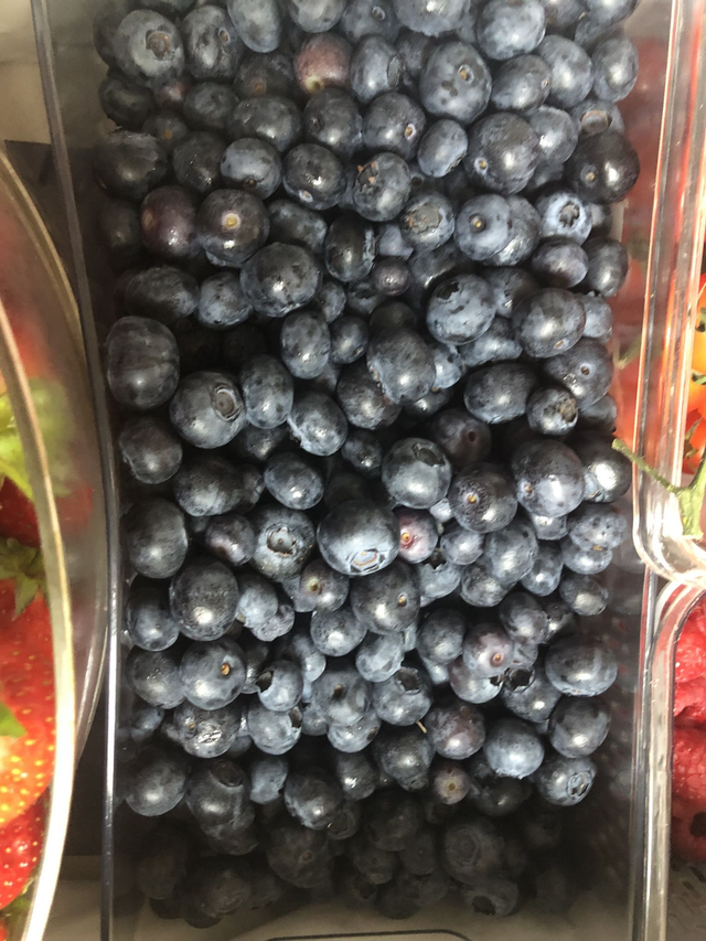 Tray blueberries 