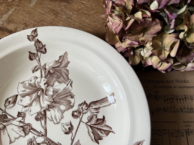 TREMIERES - Plat creux rond de la manufacture des Salins XIXème siècle - Terre de Fer