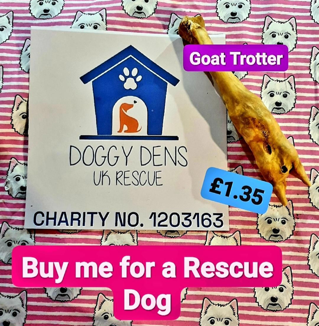 Goat Trotter for Doggy Dens Uk 🐕🇬🇧❤