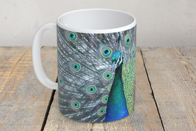 “Stunning Peacock” Mug