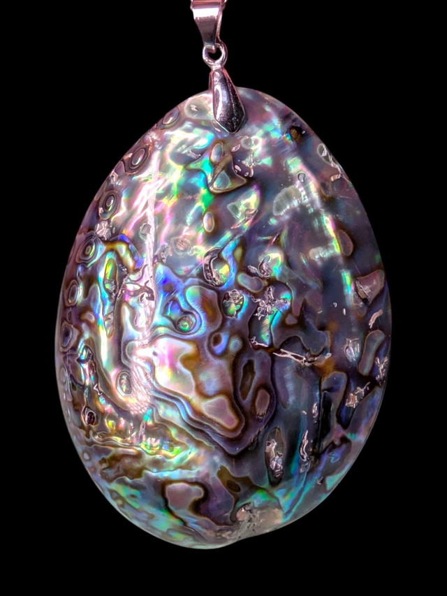 Pense coquille d&#039;ormeau 