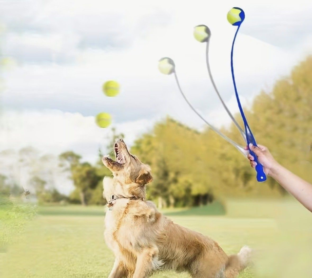 Lanceur de balle - 48cm