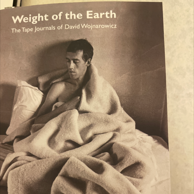 Weight Of The World The Tape Journals Of David Wojnarowicz