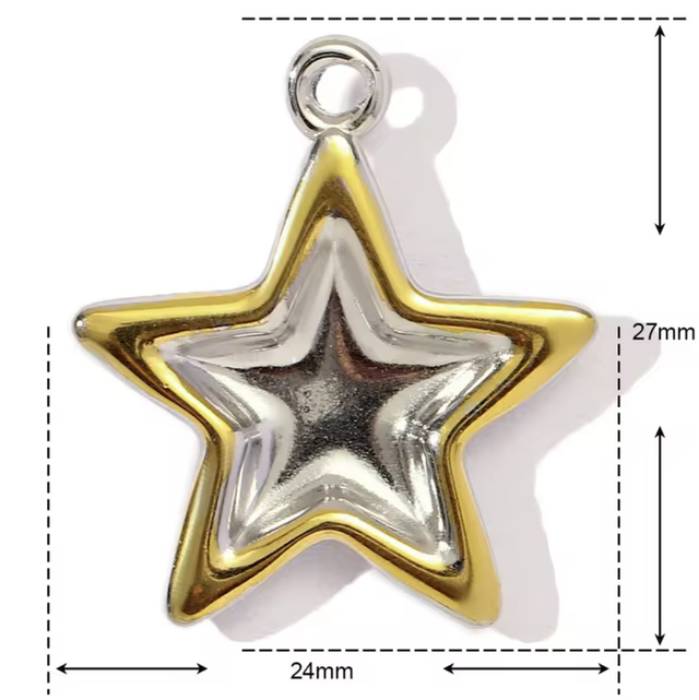 Charm stella bicolor 