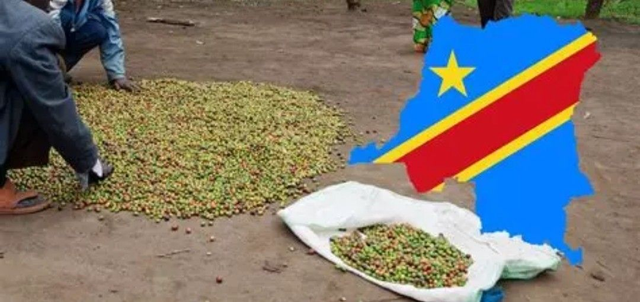 Café D'Afrique Congo