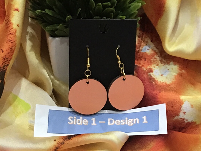 Two in One Mixed Colour Dangling Earrings- 2SD14