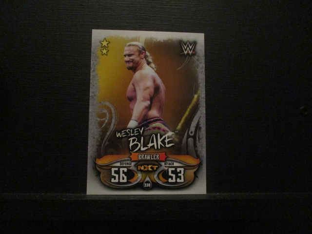 Wesley Blake - NXT Slam Attax Live Original Trading Card #238