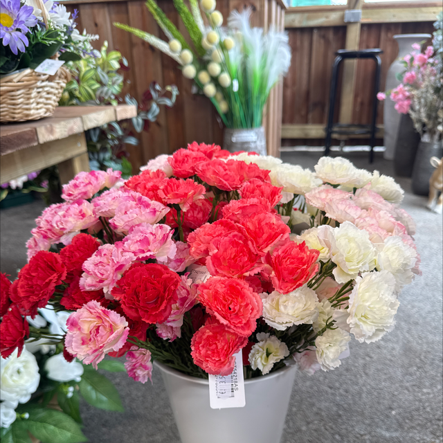 Tiges fleurs petit œillet 