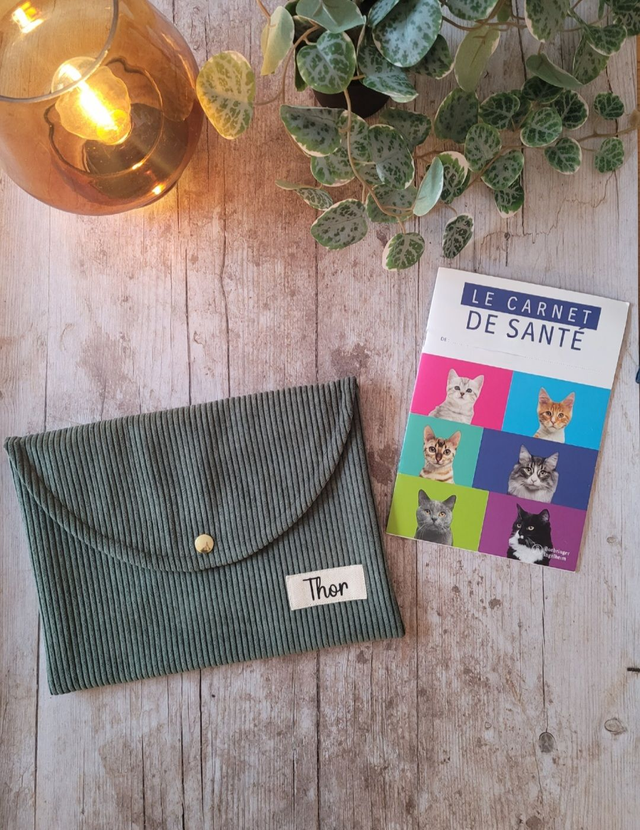 Pochette pour carnet de santé Kaki