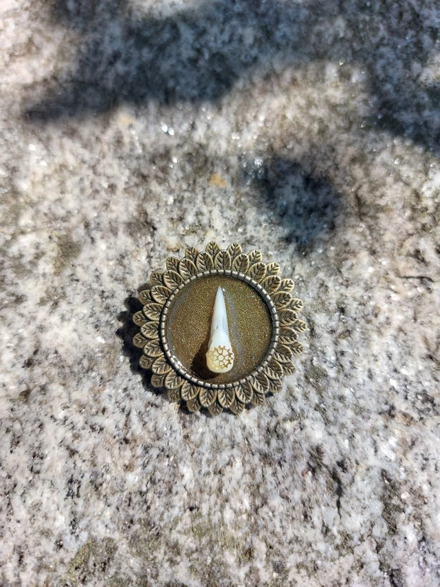 Broche crâne corbeau rouage