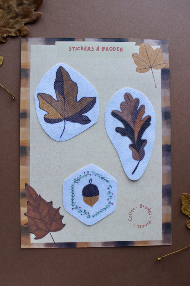 Trio d’automne - Le gland en couleurs