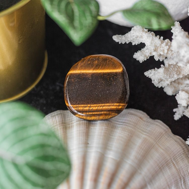 Tiger&#039;s Eye Car Vent Clip Disc