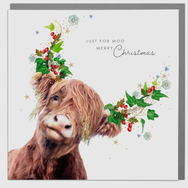 Just For Moo Xmas card