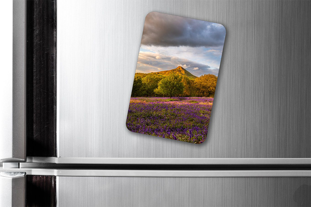 Bluebell Carpet, Roseberry Topping