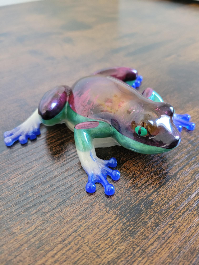 Belle Grenouille multicolore 