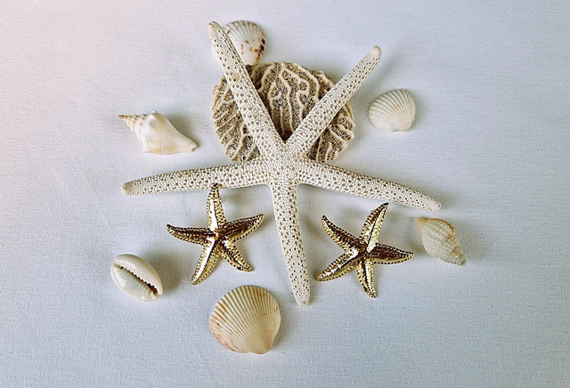 Boucles d&#039;oreilles Etoile de mer en doré