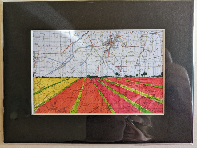 Spalding Tulip Fields