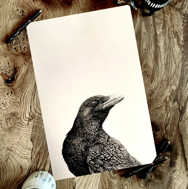 The startled Crow original unframed