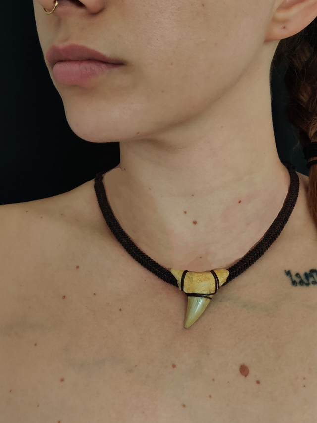 Océan Primitif – Dent de Requin fossilisée