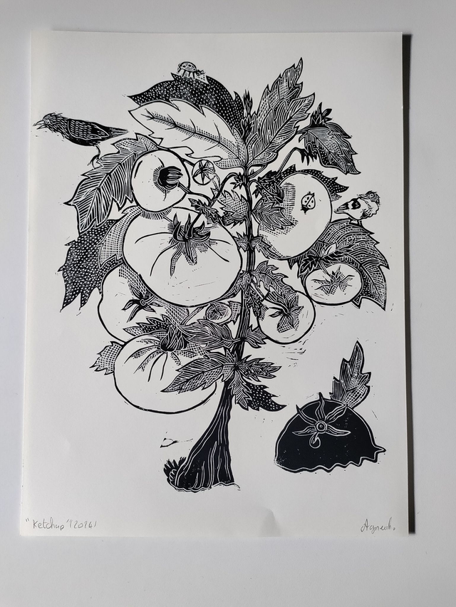 linogravure plant de tomate A4