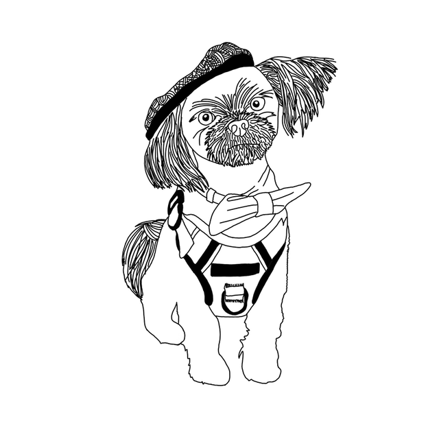 Custom Pet Line Drawings 