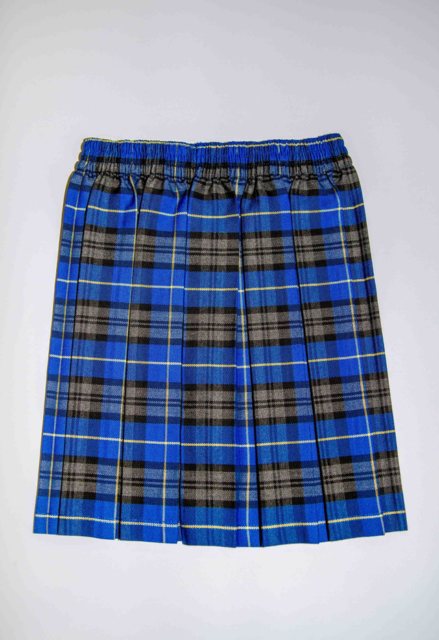 Skirt JSK117 years