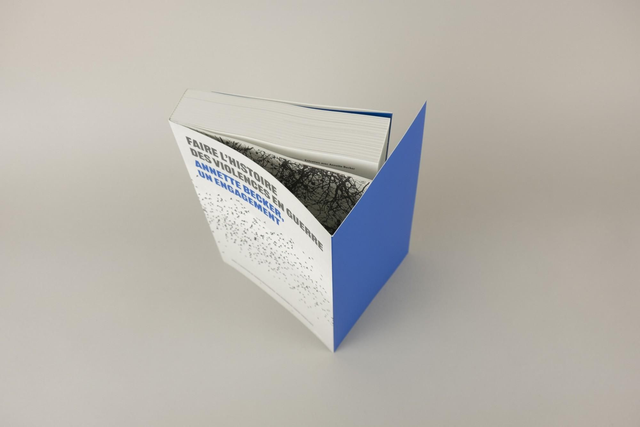 Faire l'histoire des violences