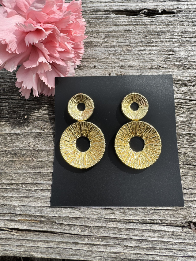 Dual disc earrings